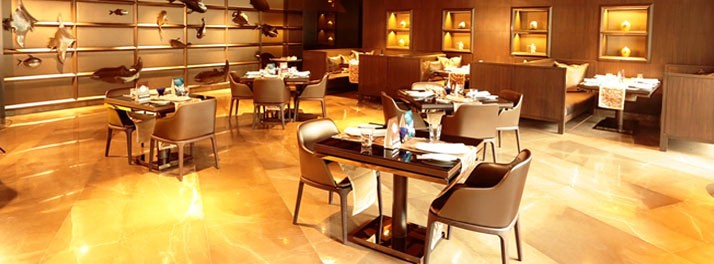 733/Hotel Sahara Star - Mumbai 14.jpg